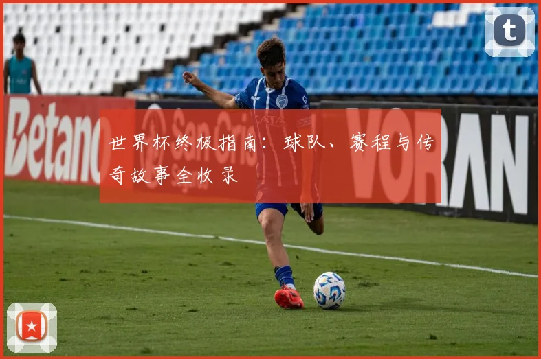世界杯终极指南：球队、赛程与传奇故事全收录
